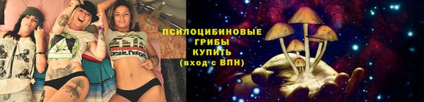 PSILOCYBIN Новокубанск