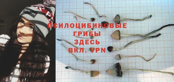 mdpv Алексин
