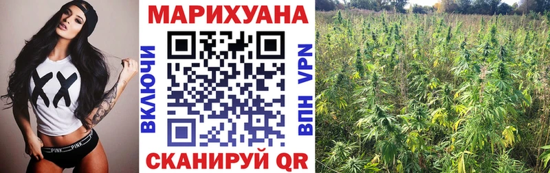 Шишки марихуана ГИДРОПОН Александровское